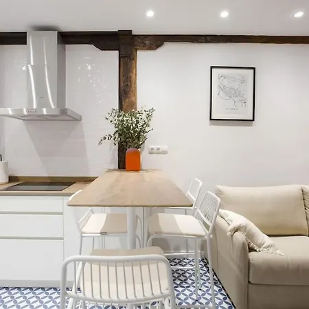 Etxeburu Apartman Bilbao